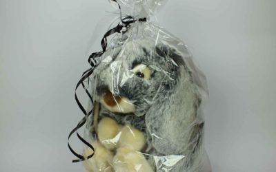 Kuscheltier Hase in kostenloser Geschenkverpackung